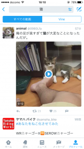 8.猫の動画のツイート